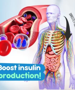 Zunis™ Acupressure Sugar Regulator Earrings