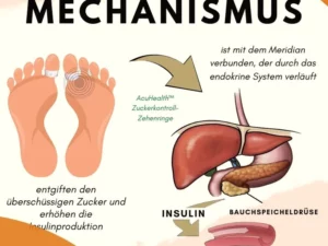 AcuHealth™ Zuckerkontrolle Zehenringe