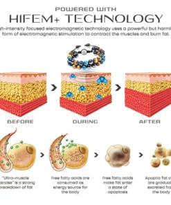 BLUSOMS™ LEANIC+ TripleGenix Men Bracelet