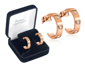 Beshape Acupressure Magnetherapy Lymphvity Earrings