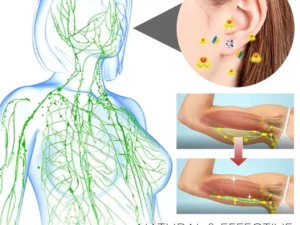 CLEANCA LymphDetox HeartPlatinum EarStuds