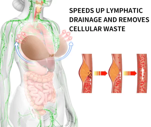 Cyfuchlinio Draenio Lymffatig Curvaceous™ a Chlyt Fron Codi Pŵer