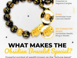 FengShui Pi Xiu Obsidian Bracelet