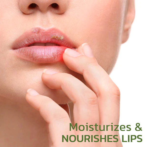 GFOUK™ Blistfix Medizinischer Lippenbalsam ё Kräuterbasis