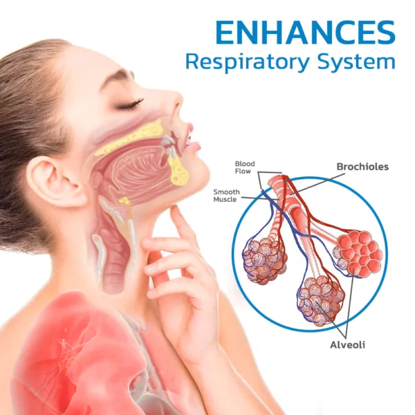 GFOUK™ NoseSeasons Lung Cleaning Nasale Allergyske Cream