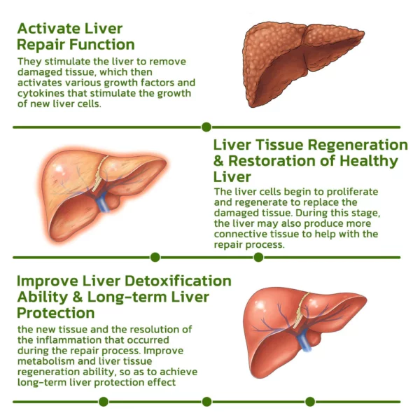 ʻO GFOUK™ Vegan Liver Cleaning Nasal Herbal Box