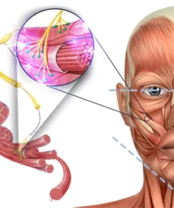 GFOUK™ EMSculpt Schlafendes V-Gesicht Schönheitsgerät