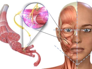 GFOUK™ EMSculpt Sleeping V-Face Beauty Device