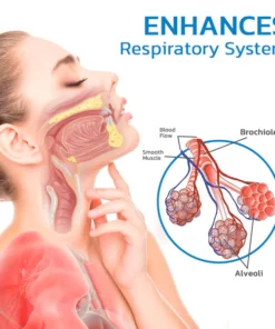GFOUK™ NoseSeasons Lungenreinigende Nasale Allergiker Creme