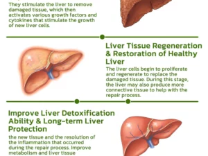 GFOUK™ Vegan Liver Cleaning Nasal Herbal Box