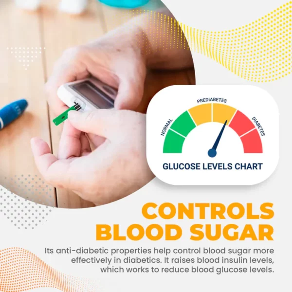 Lliniaru Diabetes GlucoX™ Ac Anadlydd Trwynol Dadwenwyno'r Corff