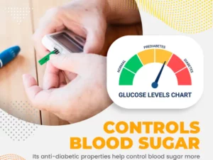 GlucoX™ Diabetes Relief And Body Detox Nasal Inhaler
