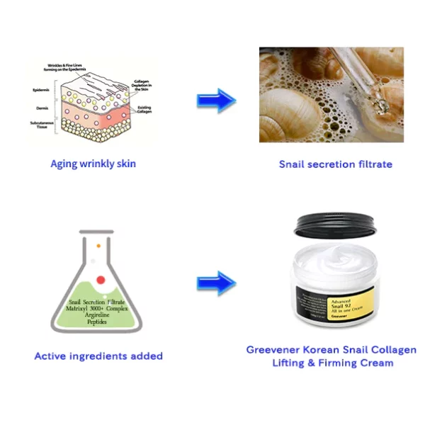 Crema reafirmante y reafirmante de colágeno de caracol coreano Greevener