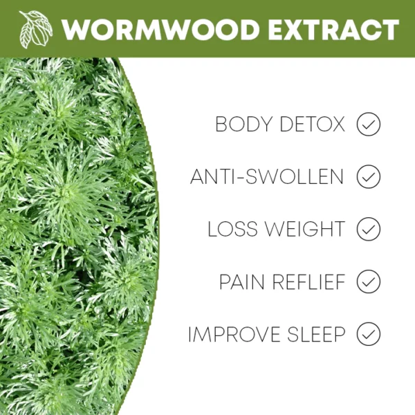 HealthXP™ Wormwood Detox Pads