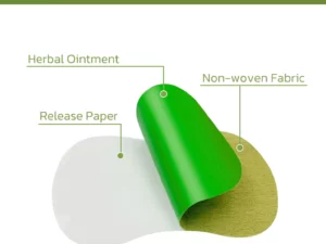 HealthXP™ Wormwood Detox Pads