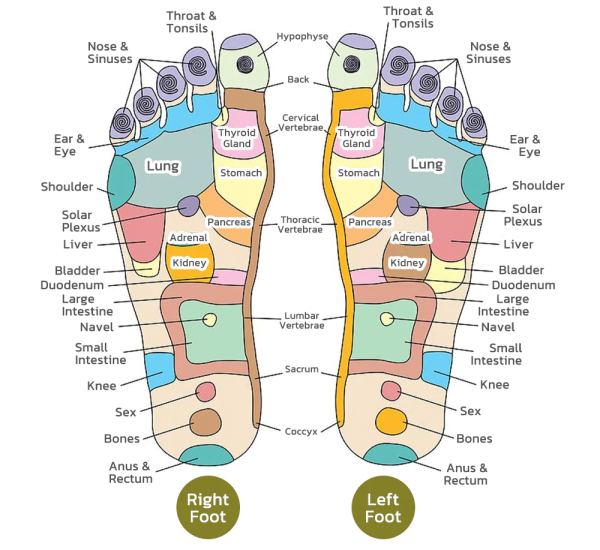 Herbal Detox Origin Foot Soak Beads