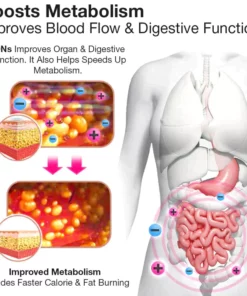 IONSTech Unique Fiber Restoration Belt Shaper Pro