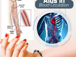 Ionic Therapeutic Weight Loss Bracelet