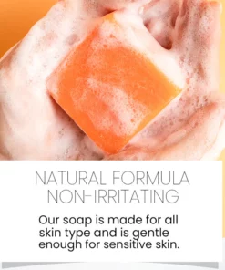 Lymphatic Detox Organic Ginger Soap