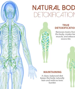 MediGinger AntiSwelling LympUnclog Ointment