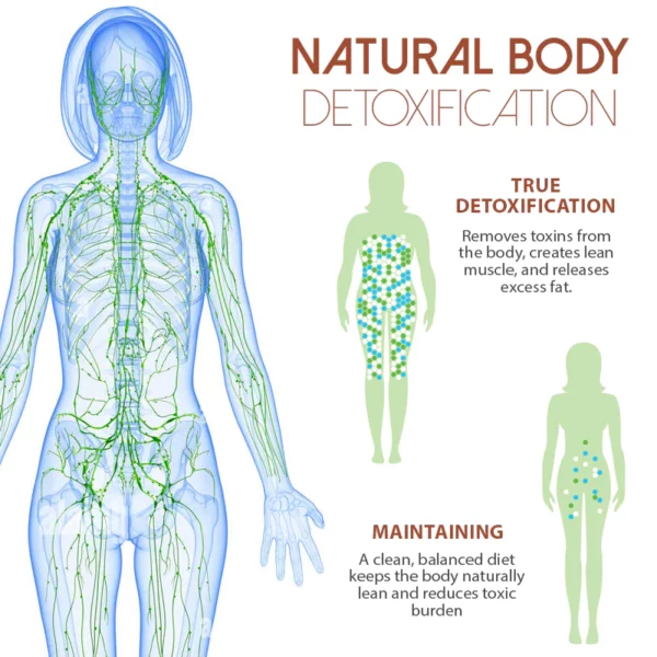 MediGinger AntiSwelling LympUnclog Ude