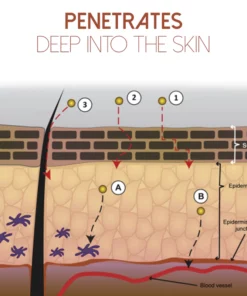 MediGinger AntiSwelling LympUnclog Ointment