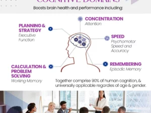 MindMist™ Cognition Enhancement Nebulizer