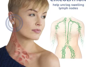 Murray Magnetique Lymphvity Earrings