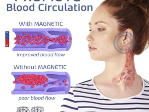 Murray Magnetique Lymphvity Earrings