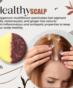 Organic Ginger Polygonum Shampoo Soap