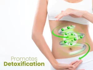 Oveallgo™ Ultimate HerbalFirm Cellulite Reduction Patches