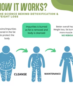 PureHealth Wormwood Body Detoxing Pads