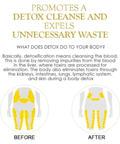 PureHerbal LymphDrainage GingerOil