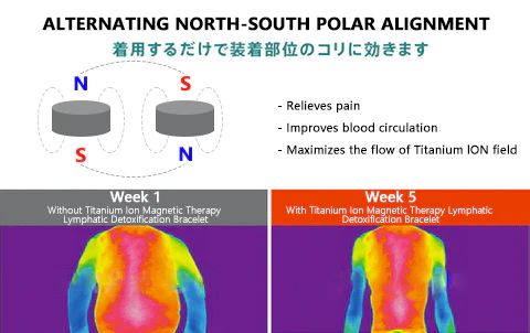 QuickSlim™ Titanion Magnetic Therapy Lymfatisk avgiftningsarmband