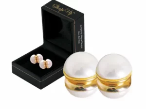 ShapeUp™ Lymphvity MagneTherapy Onyx Earrings