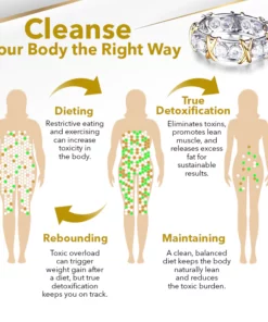 TiaraCleanse Zircon TitaniumIon Shaping Ring