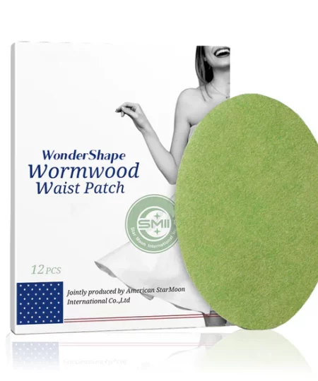 WonderShape Wormwood Waist Patch