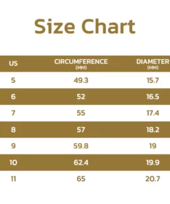 flysmus™ Voghtic Magnetique Lvmphvity Cleaning Cross Ring