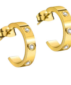 Dorina EarAcupressure Magnetherapy Detoxi Earrings