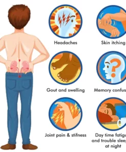 Alternative view of Fivfivgo™ Kraftvolle Kräutertropfen zur Nierenunterstützung und Harnsäurereinigung
