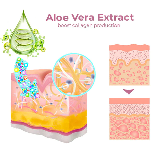 aloe vera gel biologisch 99% Organic Aloe Vera Gel, Soothing Moisturizer 12oz