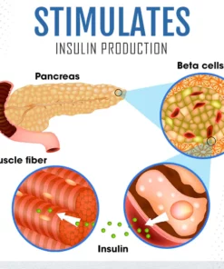 Healthtify™ Sugar Control Inhaler