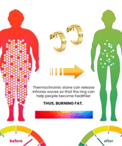 Oveallgo™ EarAcupressure Magnetherapy Detoxi Earrings