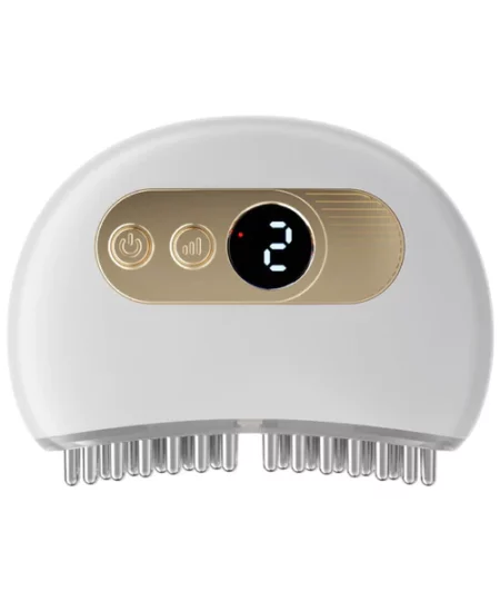 Ricpind EMS HairReborn ScalpAcupoint MassagerDevice