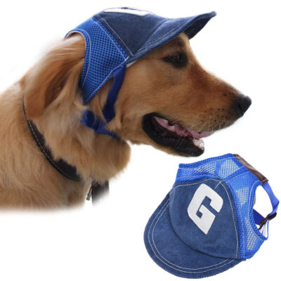 Sport Dog Hat
