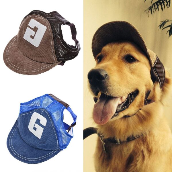 Sombrero deportivo para perros
