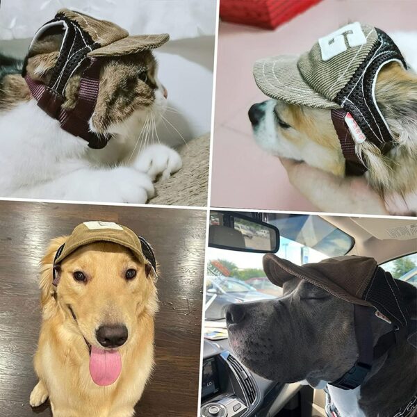 Sombrero deportivo para perros