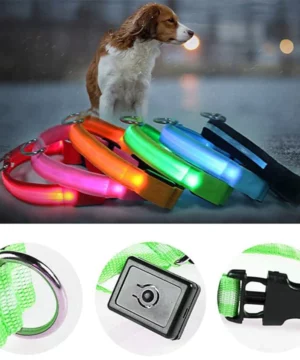 The Pethouse infrared pet electromagnetic collar