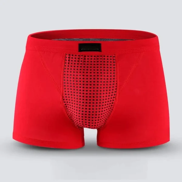 ROPA INTERIOR PARA HOMBRE-ROPA INTEGRAL MAGNÉTICA