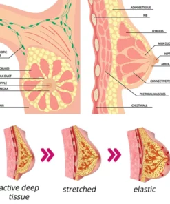 flysmus™ BewtyUp Enhancement Herbal Patch